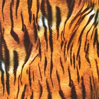 108" Backing- Animal Kingdom- Tiger- SATEEN