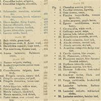 Encyclopedia Galactica- Table of Contents- Beige