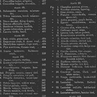 Encyclopedia Galactica- Table of Contents- Black/Metallic