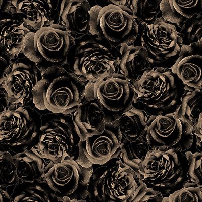 Deja Boo!- Roses- Black